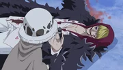 Trafalgar D. Law (l.); Corazon (r.)