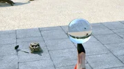 Die Schildkr&ouml;te m&ouml;chte gerne die Balanceperformance des Flamingos mit einem Selfie festhalten. Doch der Tier-Stau auf der gegen&uuml;berliegenden Stra&szlig;e bringt alles durcheinander ...