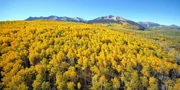 Wenn sich im Herbst die Laubbäume verfärben, wie diese Zitterpappeln in Colorado/USA, lässt der Winter nicht mehr lange auf sich warten. Wenn sich im Herbst die Laubbäume verfärben, wie diese Zitterpappeln in Colorado/USA, lässt der Winter nicht mehr lange auf sich warten.