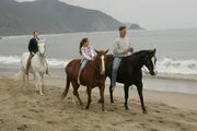 W&auml;hrend sein Team um sein Leben bangt, tr&auml;umt Gibbs von seiner ersten Frau Shannon und seiner Tochter Kelly und erinnert sich an die gl&uuml;cklichen Momente die sie zusammen verbrachten bis die beiden ermordet wurden ...