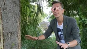 Erst Schall - dann Knall 2 Erst Schall - dann Knall 2
