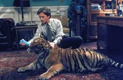 In seinem Büro gibt sich Mike (Michael J. Fox) sichtlich Mühe, sich mit einem quicklebendigen Tiger anzufreunden ... In seinem Büro gibt sich Mike (Michael J. Fox) sichtlich Mühe, sich mit einem quicklebendigen Tiger anzufreunden ...