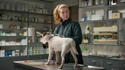 Tierärztin Jule Christiansen (Marleen Lohse) ahnt noch nicht, dass ihr kleiner Patient Fuzzi eine große Rolle im Schwanitzer Kriminalfall spielen wird. Tierärztin Jule Christiansen (Marleen Lohse) ahnt noch nicht, dass ihr kleiner Patient Fuzzi eine große Rolle im Schwanitzer Kriminalfall spielen wird.