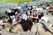 Auf der Geissalp Puzzetta arbeiten nur Frauen: Tabea, Mona, Paula, Sara, Felicitas und das Mädchen Aliyah Auf der Geissalp Puzzetta arbeiten nur Frauen: Tabea, Mona, Paula, Sara, Felicitas und das Mädchen Aliyah