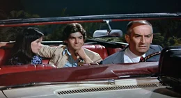 In der Pinienkrone hoch &uuml;ber dem Meer erfahren Henri (Louis de Funes) und seine ungebetenen Mitfahrer (Geraldine Chaplin und Olivier de Funes) in der abendlichen Nachrichtensendung, dass sie vermisst werden.  +++ Die Verwendung des sendungsbezogenen Materials ist nur mit dem Hinweis und Verlinkung auf RTL+ gestattet. +++