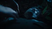 Der Tatort: Toter K&ouml;rper