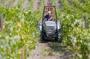 Auf der Quinta do Sossego, was so viel wie „Gutshof der Ruhe“ bedeutet, lebt und arbeitet Joaquím Felix bereits in der zweiten Generation als Winzer und Weinbauer. Auf der Quinta do Sossego, was so viel wie „Gutshof der Ruhe“ bedeutet, lebt und arbeitet Joaquím Felix bereits in der zweiten Generation als Winzer und Weinbauer.
