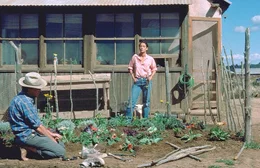 Noch genie&szlig;en Charlie Bloom (John Heard, l.) und Ruby Archuleta (Sonia Braga, r.) das ruhige Leben auf dem Land ...