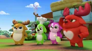L-R: Kai, Bobbi, Lola, Rammy