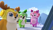 L-R: Kai, Bobbi, Lola