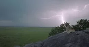 In der Serengeti kündigt sich eine Wende an - ein Gewitter am Horizont, das Regen verspricht. In der Serengeti kündigt sich eine Wende an - ein Gewitter am Horizont, das Regen verspricht.