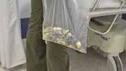 BOGOTA, COLOMBIA - Drugs seized. BOGOTA, COLOMBIA - Drugs seized.