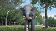Das Elefantenbaby möchte beim Picknick im Park lieber spielen, während seine Eltern es sich bei einem Gläschen gemütlich machen wollen. Das Elefantenbaby möchte beim Picknick im Park lieber spielen, während seine Eltern es sich bei einem Gläschen gemütlich machen wollen.