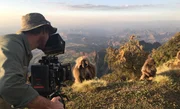 &Auml;thiopien - Kameramann Miguel Willis filmt Gelada-Affen im Simien Mountain National Park, &Auml;thiopien.