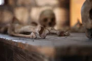 Die Knochen der Erbauer der Sphinx und der Pyramiden. Die Knochen der Erbauer der Sphinx und der Pyramiden.