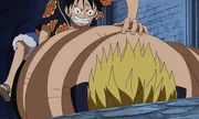 Ruffy (oben); Bellamy (unten) Ruffy (oben); Bellamy (unten)