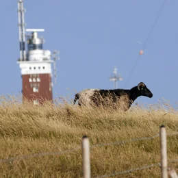 Markant auf dem Oberland: Der Helgol&auml;nder Leuchtturm. Sein Blitz feuert exakt alle f&uuml;nf Sekunden voneinander entfernt.