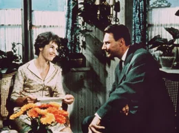 Dr. Petra Jensen (Marianne Koch) erh&auml;lt von ihrem fr&uuml;heren Kollegen Dr. Kurt Friebe (Thomas Reiner) ein reizvolles Stellenangebot in einem Luxus-Sanatorium.