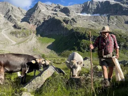F&uuml;r Erich Gatt, den Viehhirt, ist die Ruhe seines Arbeitsplatzes im Valser Tal einzigartig.