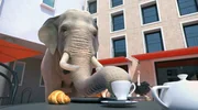 Bei einem Wettlauf f&uuml;r Kellner will der Elefant endlich zeigen, was in ihm steckt.