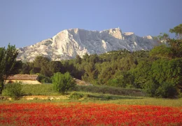 Die Provence - weltber&uuml;hmt als Land des Lichts und der Farben.