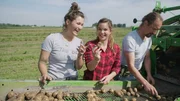 Auf dem Kartoffelroder, der Kartoffelerntemaschine, sortieren Anna (Mitte) und Andrea faule Kartoffeln und Steine aus. Auf dem Kartoffelroder, der Kartoffelerntemaschine, sortieren Anna (Mitte) und Andrea faule Kartoffeln und Steine aus.