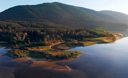 Die Kokany Lachse wandern im Sommer zum Laichen die Fl&uuml;sse hoch, die in den Kooteney See m&uuml;nden.