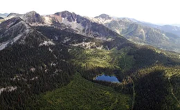 Gigantische W&auml;lder aus m&auml;chtigen Nadelb&auml;umen ziehen sich in Darkwoods bis auf 2.000 Meter H&ouml;he.