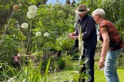 Parkähnlich und mit seinen exotischen Gewächsen fast ein botanischer Garten für sich: in inzwischen fast 50 Jahren haben Sybille und Hans Breisacher hinter ihrem Winzerhof in Ihringen am Kaiserstuhl ein echtes Kleinod gestaltet. Parkähnlich und mit seinen exotischen Gewächsen fast ein botanischer Garten für sich: in inzwischen fast 50 Jahren haben Sybille und Hans Breisacher hinter ihrem Winzerhof in Ihringen am Kaiserstuhl ein echtes Kleinod gestaltet.