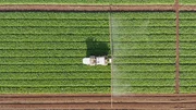 Bisher versprühen Landwirte großflächig Pestizide auf dem Feld Bisher versprühen Landwirte großflächig Pestizide auf dem Feld
