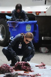 Brennan (Emily Deschanel, vorne) und Cam (Tamara Taylor) untersuchen den Fundort der Leiche. M&uuml;llm&auml;nner haben menschliche &Uuml;berreste in ihrem Wagen entdeckt.