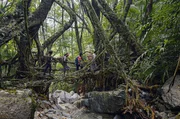 Über hundert Brücken gibt es in der gesamten Region rund um Meghalaya in Indien. Über hundert Brücken gibt es in der gesamten Region rund um Meghalaya in Indien.