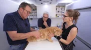 Doc Dreesen(l.) is volunteering with "Tiemo," the mobile veterinary clinic, in Duisburg: Kovu the cat is showing signs of paralysis, and his owner is very worried.