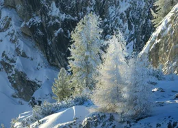 Dolomiten Hohe Gaisl.