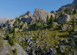 Naturpark Rieserferner- Ahrn.