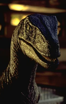 "Jurassic Park", Durch Genmanimpulation gelingt es dem Milliard&auml;r John Hammond, verschiedene Dinosaurierarten zu z&uuml;chten. Er errichtet vor der K&uuml;ste Costa Ricas einen Freizeitpark. Dr. Grant, Dr. Sattler und der Mathematiker Malcolm sollen Hammonds Lebenswerk als erste besuchen. Die Besichtigungstour wird f&uuml;r die Wissenschafter und Hammonds Enkelkinder allerdings zum Horrortrip, als das Sicherheitssystem au&szlig;er Kraft gesetzt wird.  SENDUNG: ORF eins - SO - 31.05.2020 - 15:55 UHR. - Veroeffentlichung fuer Pressezwecke honorarfrei ausschliesslich im Zusammenhang mit oben genannter Sendung oder Veranstaltung des ORF bei Urhebernennung.