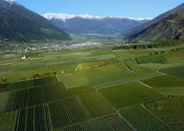 Vinschgau.