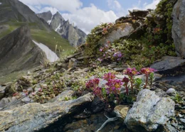 Naturpark Rieserferner-Ahrn.