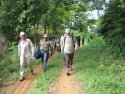 Walk to Rice Field Walk to Rice Field