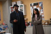 Alec Mercer (Jesse L. Martin, l.); Rose Dinshaw (Karen David, r.)