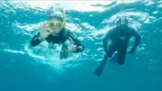 Nina taucht ab, um mehr &uuml;ber Oktopusse im Meer herauszufinden.