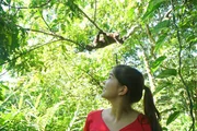 Anna mit einem Wollaffen in der Auffangstation amaZOOnico. Schon bald wird er wieder in Freiheit leben können. Anna mit einem Wollaffen in der Auffangstation amaZOOnico. Schon bald wird er wieder in Freiheit leben können.