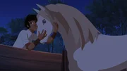 Angelo trifft seinen Hengst Sila wieder. Angelo trifft seinen Hengst Sila wieder.