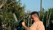 Ronny und Steffen müssen mehrere Obstbäume in ihrem Garten beschneiden. Ronny und Steffen müssen mehrere Obstbäume in ihrem Garten beschneiden.