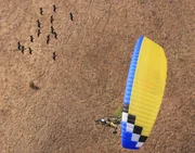 An den Burghauser Felsen wurden Generationen von Waldrappküken liebevoll handaufgezogen und Ultraleichtflugzeuge mit den Aufzieherinnen an Bord zeigten den Jungen den Weg. Im Jahr 2010 erfolgt die letzte menschenbegleitete Migration ins Winterquartier in die Toskana. An den Burghauser Felsen wurden Generationen von Waldrappküken liebevoll handaufgezogen und Ultraleichtflugzeuge mit den Aufzieherinnen an Bord zeigten den Jungen den Weg. Im Jahr 2010 erfolgt die letzte menschenbegleitete Migration ins Winterquartier in die Toskana.