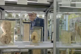 Was im menschlichen Gehirn passiert, fasziniert die Wissenschaft schon seit langem &ndash; wie auch diese Hirnpr&auml;parate im medizinhistorischen Museum der Berliner Charit&eacute; beweisen.