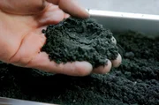 In dieser Pflanzenkohle ist besonders viel CO2 gespeichert. Sie kann als Dünger dienen. In dieser Pflanzenkohle ist besonders viel CO2 gespeichert. Sie kann als Dünger dienen.