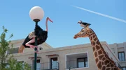 Der Papageientaucher kann sich nicht wirklich gegenüber dem Vogelstrauß und dessen eigenen Spielregeln durchsetzen. Der Papageientaucher kann sich nicht wirklich gegenüber dem Vogelstrauß und dessen eigenen Spielregeln durchsetzen.