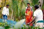 In speziellen Baumschulen werden in Bangladesch Mangroven für die Aufforstung gezüchtet. In speziellen Baumschulen werden in Bangladesch Mangroven für die Aufforstung gezüchtet.