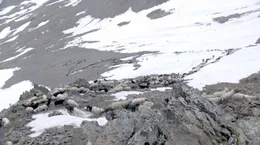Aufstieg auf den Similaun.